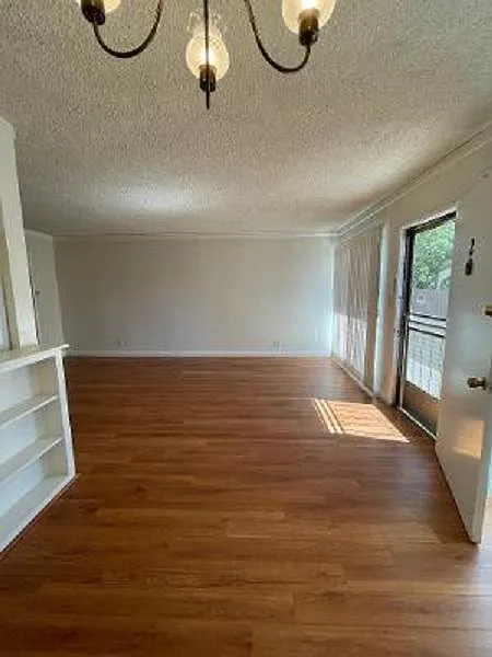 1 bed, 600 sqft, $2,000 — Photo 3