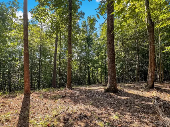 Forest Lake Heights Dr, Nebo, NC 28761