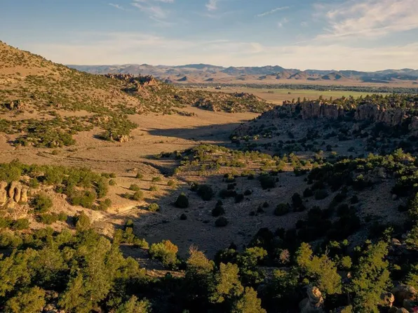  Tract 42 Wapiti Ridge Road, Del Norte, CO 81132