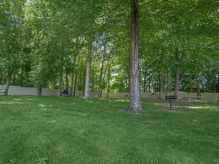 Forest Park — Photo 27