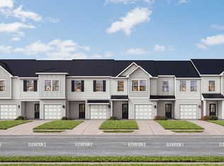 Leila Plan, Twin Oaks, Villages Of Pasadena Hills, FL 33541