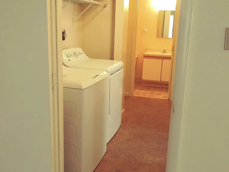 105 E Allen St #Townhouse 10 — Photo 10