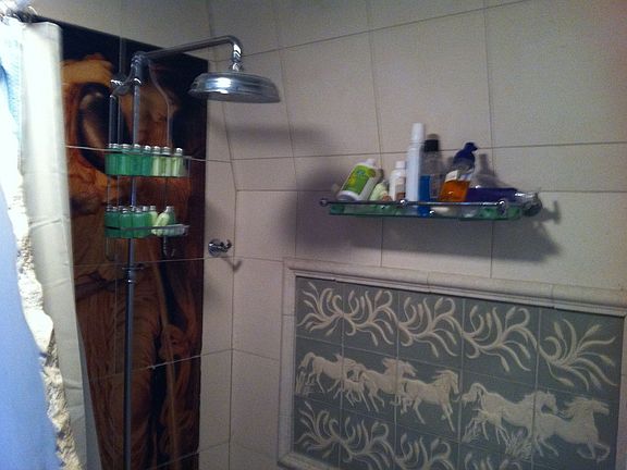 upstairs bath/shower