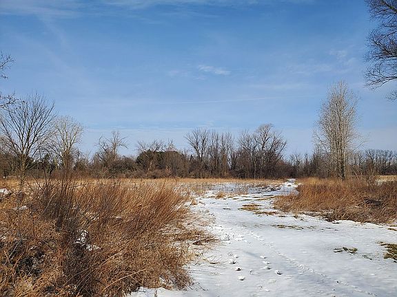 Lane to back of wooded property