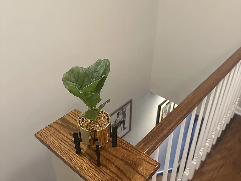 2136 W Jackson Blvd #2 — Photo 12