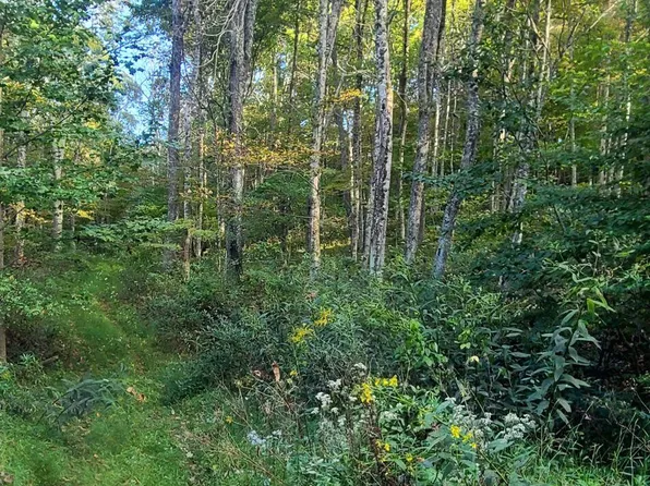 346 Little Mountain Dr, Hillsboro, WV 24946
