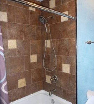 Hall Bath/ Shower