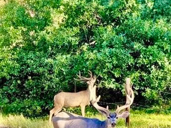 000 SR 512 Highway #Mundy Ranch and Mountain Estate, Chama, NM 87575