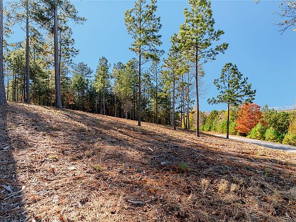 3rd image of LOT 72 Hickory Springs Way