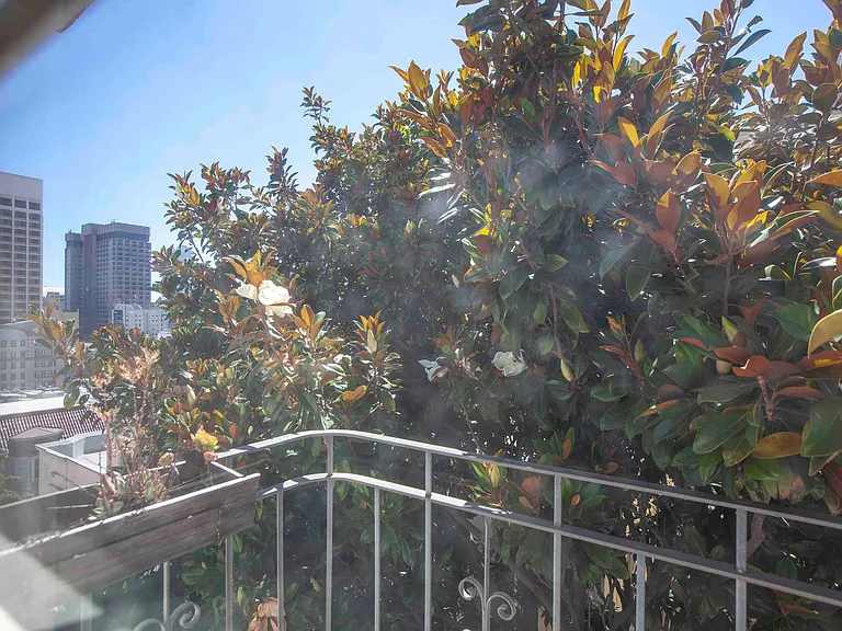 20 Joice St #3 — Photo 4