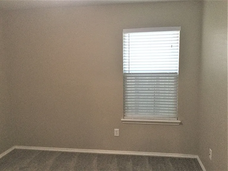 923 Plumeria Dr — Photo 17
