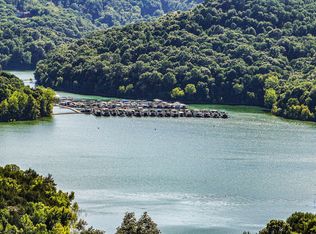 4 Seaton Dr, Smithville, TN 37166