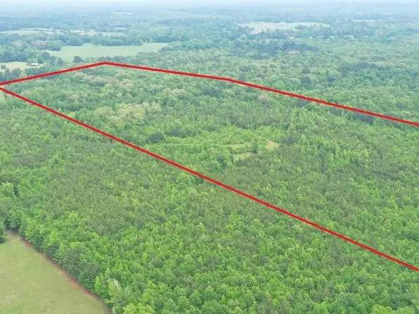 1 Fm 1766, Naples, TX 75568