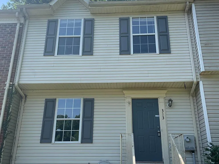 313 Stafford Mews Ln — Photo 1
