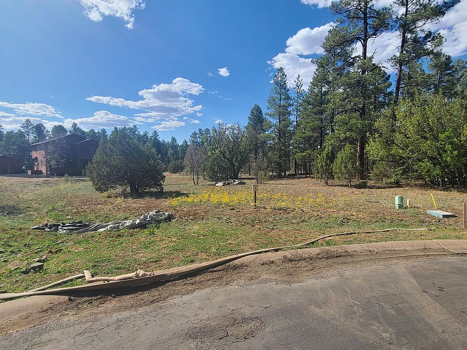 2nd image of 2541 S Pinegrass Rd Lot 4