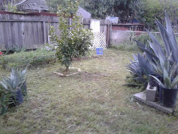 3rd image of 383 Lyndale Ave