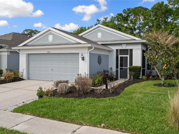 5245 Gato Del Sol Cir, Wesley Chapel, FL 33544