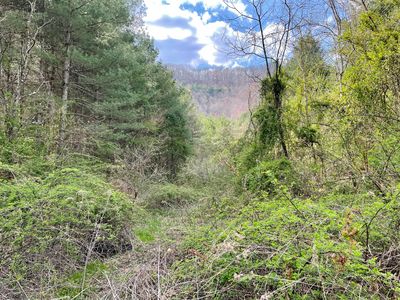 Orby Cantrell Hwy, Wise, VA, 24293