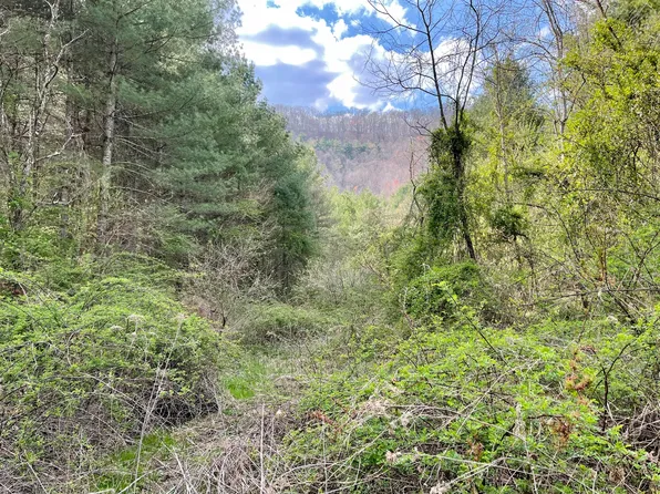 Orby Cantrell Hwy, Wise, VA 24293