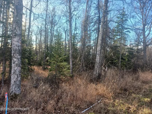 4290 S Gon Fishin Dr, Wasilla, AK 99623