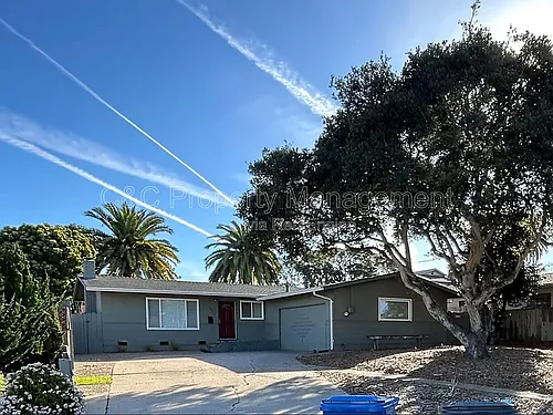 1124 Carson St Photo 1