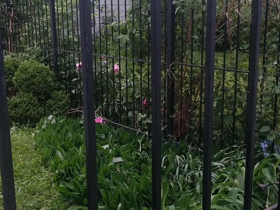 Iron fence all around home