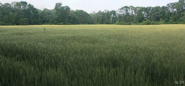 2nd image of 0 Leithsville Rd