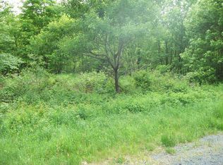 0 Dyken Pond Rd, Berlin, NY 12022