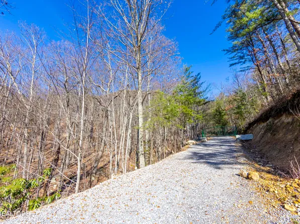 Scout Way, Cosby, TN 37722