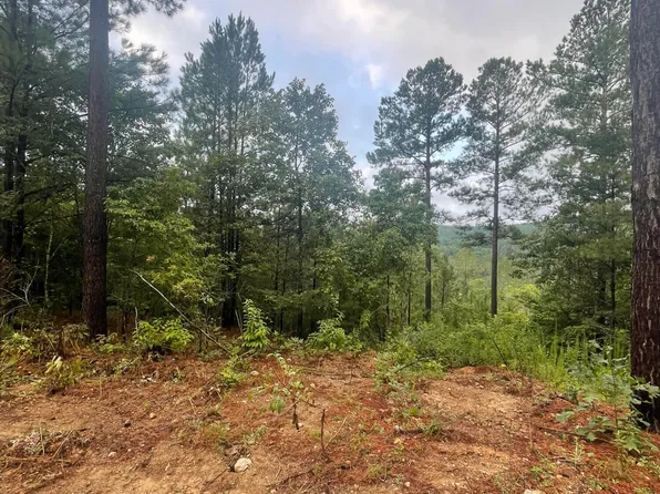 400 Moore Cemetery Rd, Decatur, TN 37322