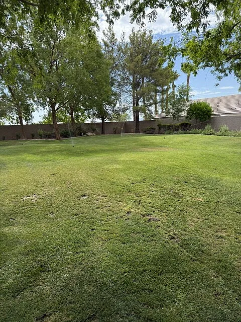 3 bed, 2.0 bath, 1560 sqft, $2,118 — Photo 2