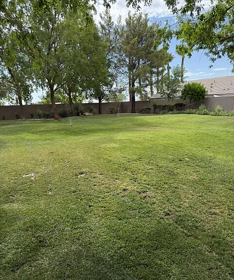 10164 Organ Pipe Ct — Photo 2