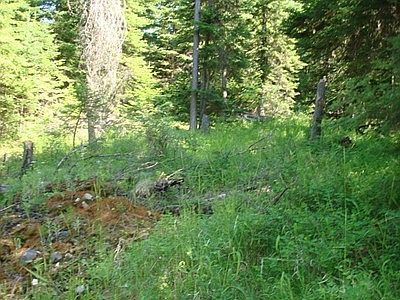 5th image of Warland Creek Road