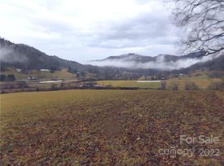 55 Mount Pisgah Church Rd, Candler, NC 28715