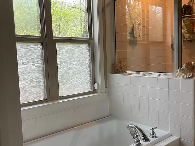 master bath - soaking tub, separate shower