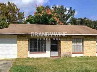 730 Holly Ter, Brandon, FL 33511