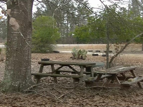 Outside front picnic area