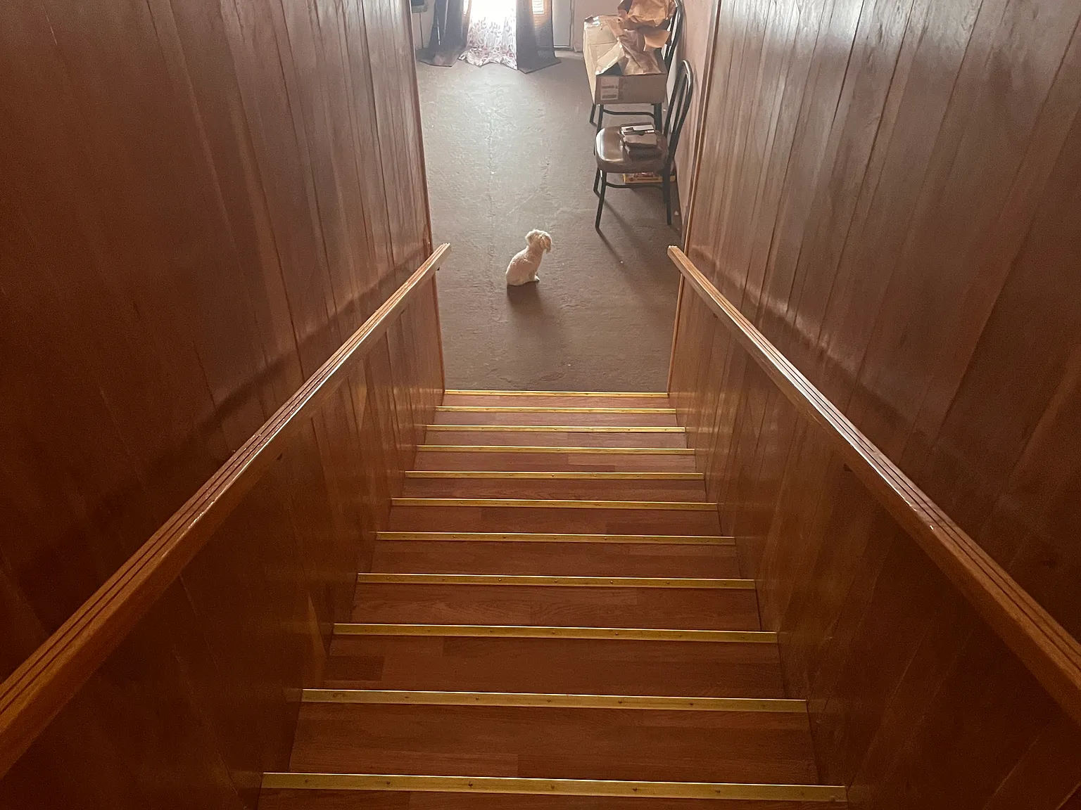 1 bed, 1000 sqft, $1,500 — Photo 2