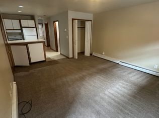 75 N 2nd St #D, Carbondale, CO 81623