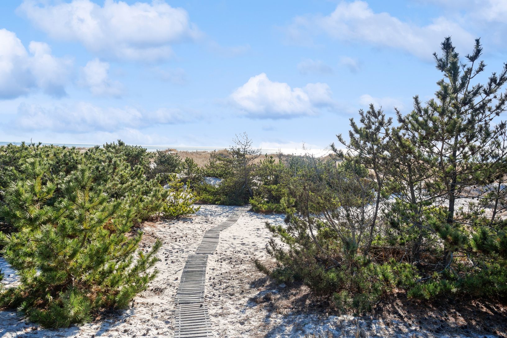  Oceanfront walkway