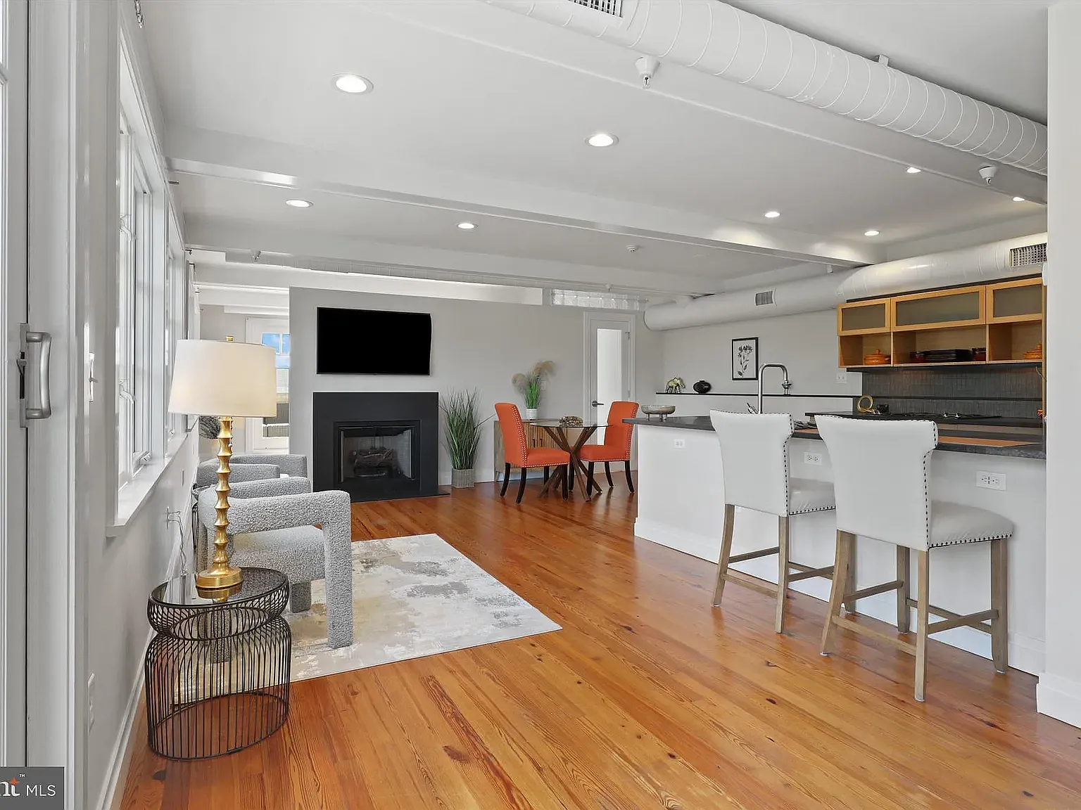 1 bed, 900 sqft, $3,950 — Photo 3