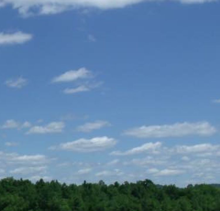 2nd image of White Ln