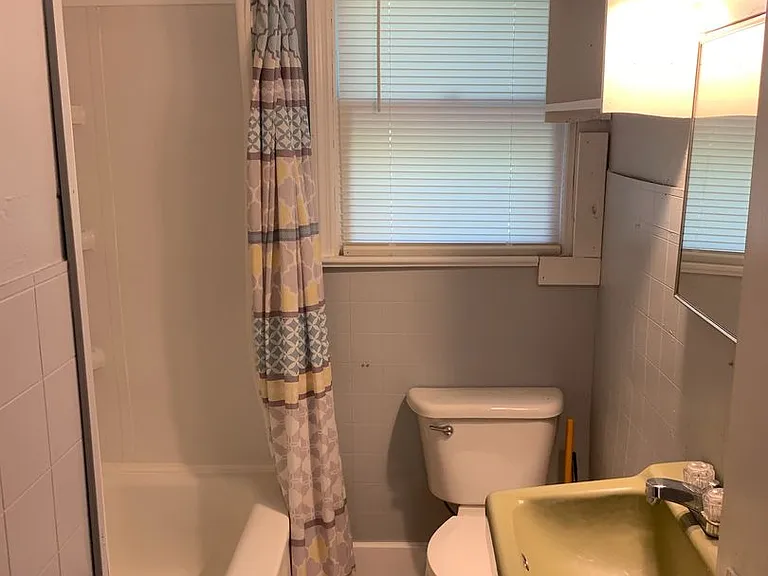 423 N Locust St — Photo 9