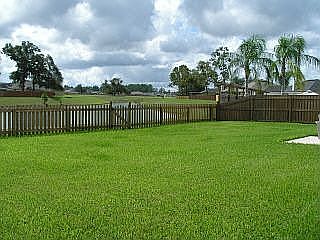 Beautiful Yard