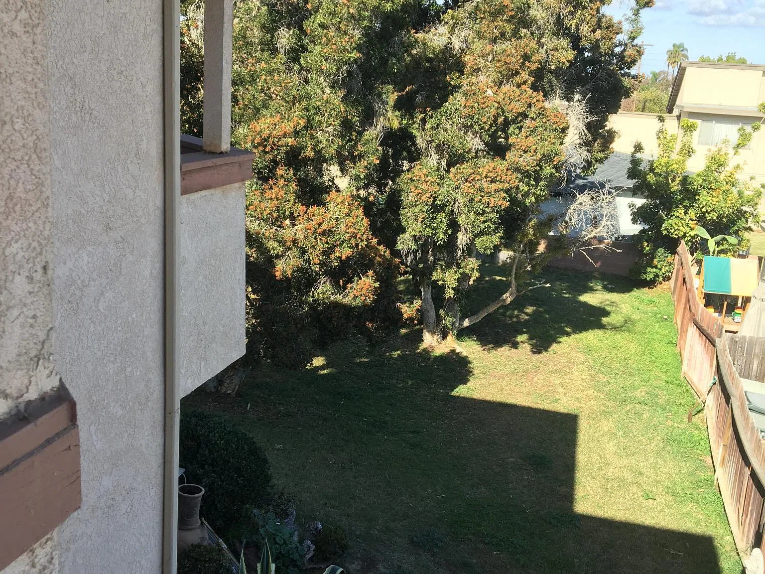 596 Victoria St — Photo 3