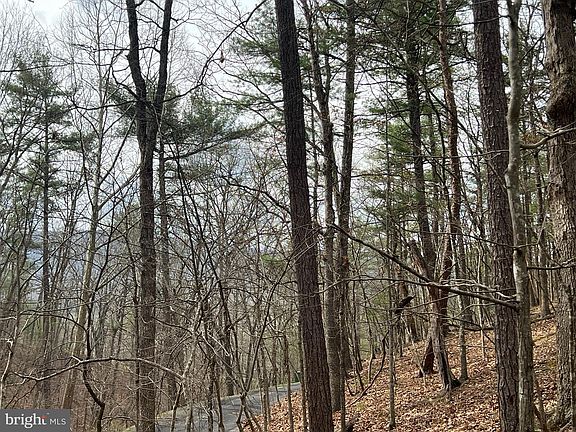 3rd image of 67 Dogwood Dr S