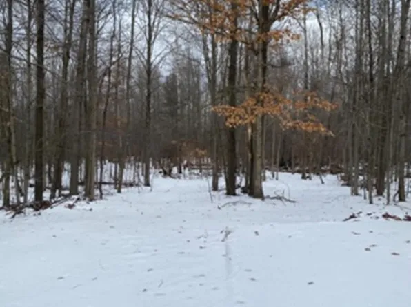 470 N McCord St, Benton Harbor, MI 49022