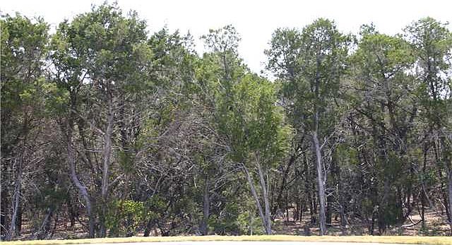 1st image of 4329 Verano Dr