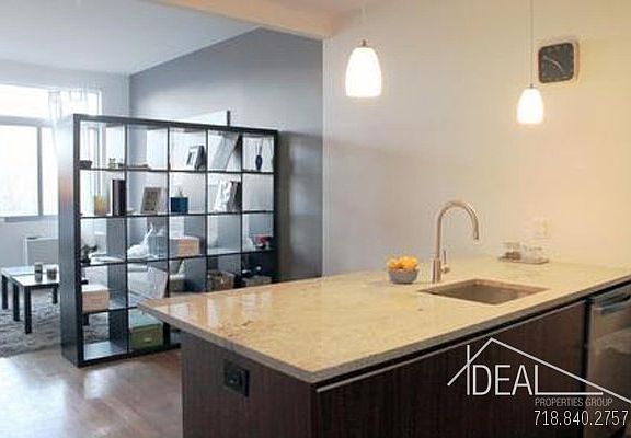 4th image of 840 Bergen St APT 410