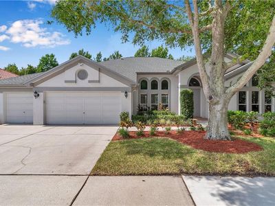 1725 Anglers Ct, Safety Harbor, FL, 34695